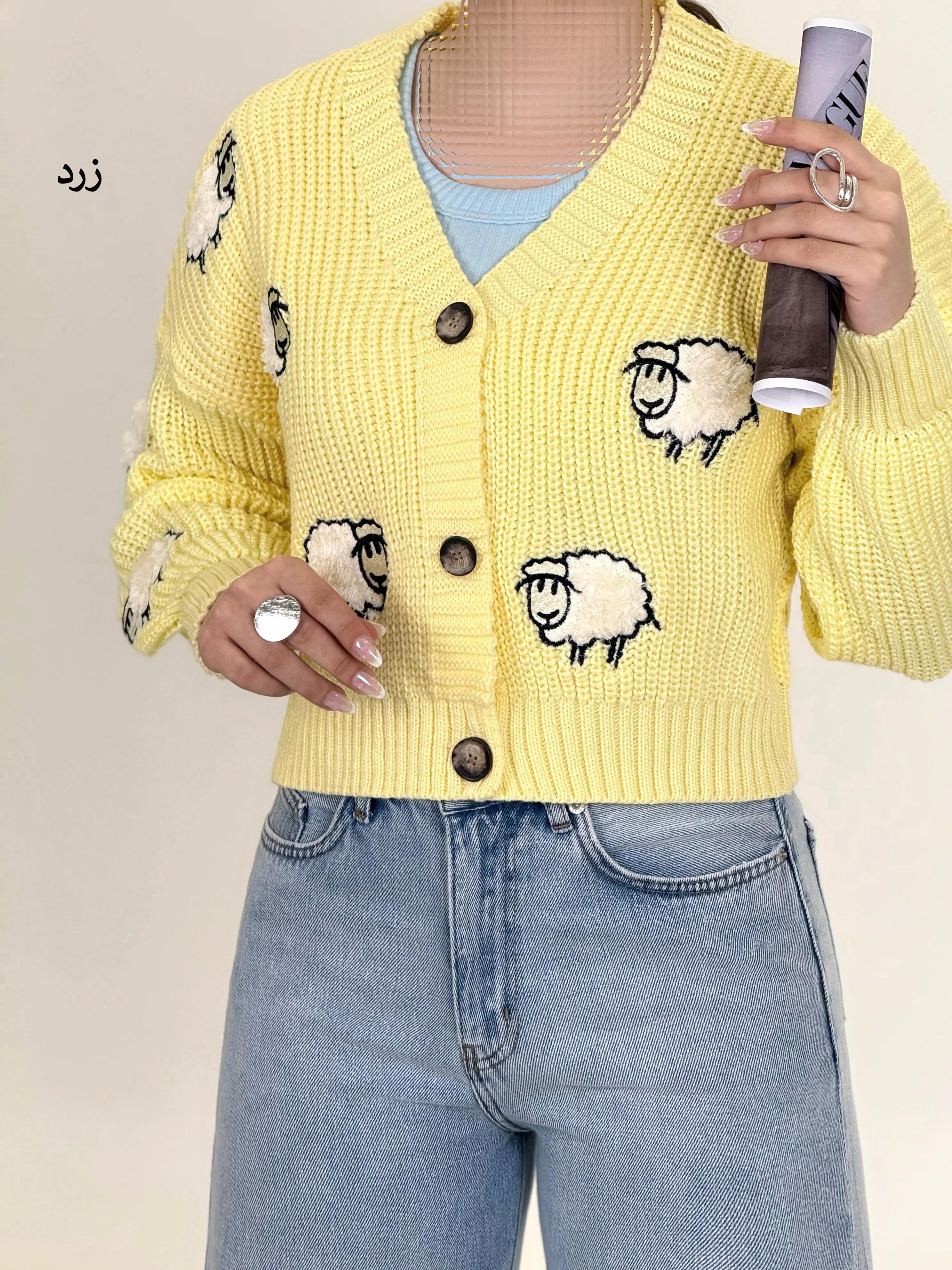 7369-کاردیگن sheep